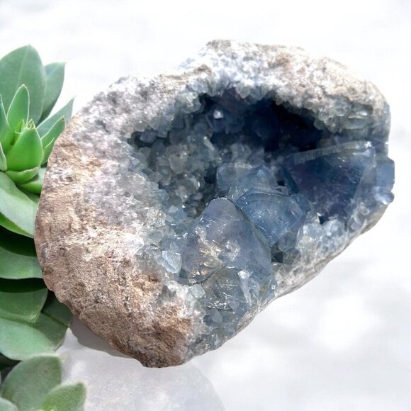 Large Celestite Cluster XXL Points Blue Crystal Natural Raw Rough Freeform - Picture 16 of 16